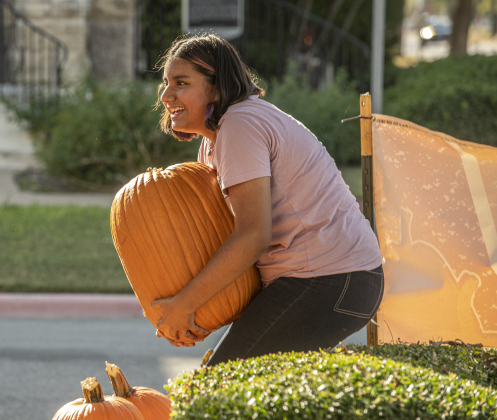 16-year-old Amanda Castelan, a student at Georgetown High School, helped unload pumpkins at First United Methodist Church on Wednesday, October 9, 2024.  2,880 large pumpkins, plus many smaller versions were unloaded at the church.   The pumpkins were grown in New Mexico.   A second, but smaller batch of pumpkins will arrive from there on October 19th.   Sales continue through 5p.m. on October 31st.    Photo by Andy Sharp.