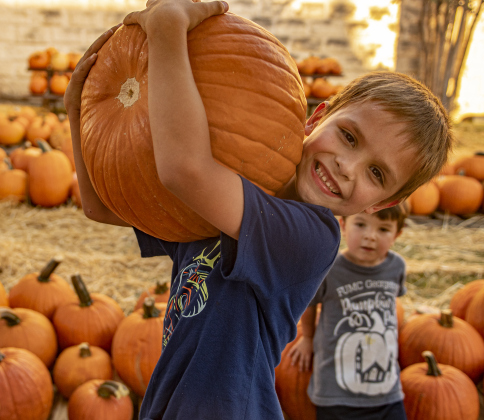 7-year-old Axyl Johannsen, front, and his brother Lynnox, 3, right, helped unload pumpkins at First United Methodist Church on Wednesday, October 9, 2024.  2,880 large pumpkins, plus many smaller versions were unloaded at the church.   The pumpkins were grown in New Mexico.   A second, but smaller batch of pumpkins will arrive from there on October 19th.   Sales continue through 5p.m. on October 31st.    Photo by Andy Sharp