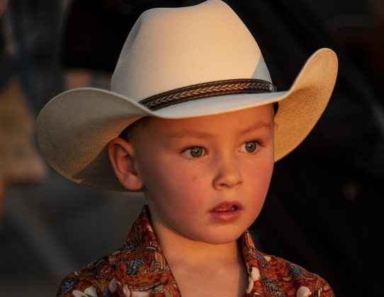 3-year-old Waylon Riggs was enthralled as he watched the Swifty Swine pig races  during the Williamson County Fair &amp; Rodeo opening night at the Williamson County Expo Center on Wednesday, October 23, 2024.  The fair and rodeo continues through Saturday, October 26th.   Photo by Andy Sharp.