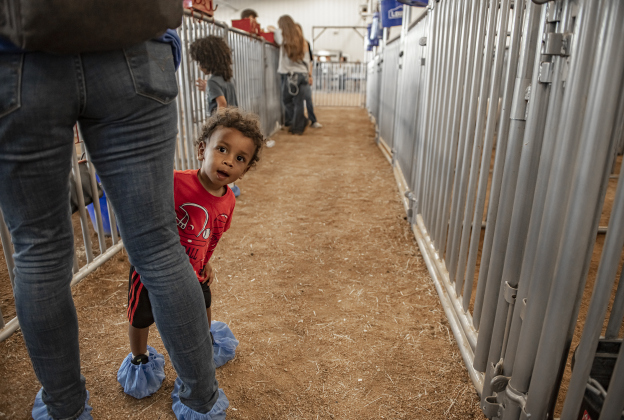 One-and-half-year old Jadon Morachel, with his mom, Georgetown High teacher Jani Morachel, enjoyed his time seeing all the farm animals during the Grand Opening of Georgetown High School's new Ag barn on Wednesday, September 25, 2024.   Photo by Andy Sharp.