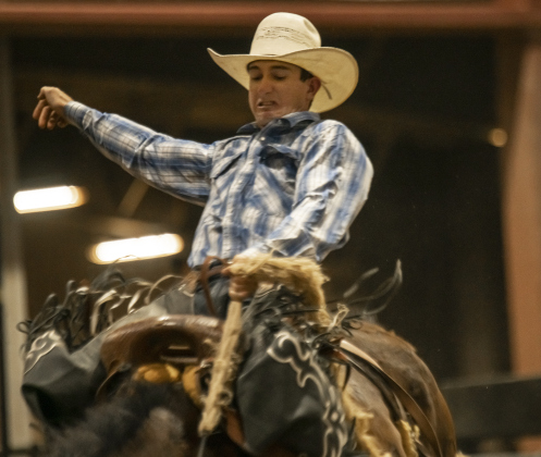 Regan Lyons, an Australian living in Snyder, Texas participates in Saddle Bronc Riding at the Williamson County Fair Rodeo  on Friday, October 25, 2024.   Photo by Andy Sharp.