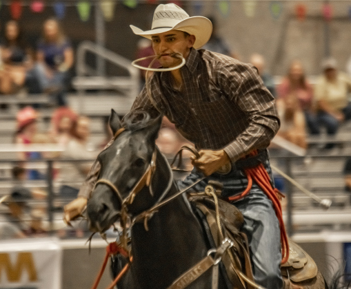 Whit Gutierrez of Giddings, Texas competes in Tie Down Roping  at the Williamson County Fair Rodeo  on Friday, October 25, 2024.  Photo by Andy Sharp.