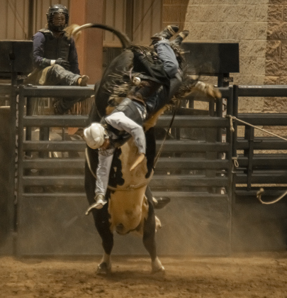 Colton Burkard of Ivanhoe, Texas competes in Bull Riding at the Williamson County Fair Rodeo  on Friday, October 25, 2024.  Photo by Andy Sharp.