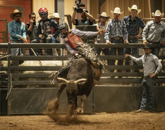 Bryce Jensen of Huntsville, Texas competes in Bull Riding at the Williamson County Fair Rodeo  on Friday, October 25, 2024.  Photo by Andy Sharp.