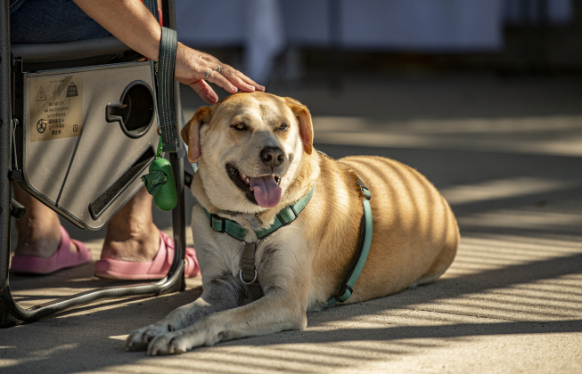Bryson, with owner Stephanie Andrews, waits for a blessing by The Reverend Mary Ann Huston during the Grace Episcopal Church Blessing of the Animals service held at San Gabriel Park on Sunday, October 6, 2024.   Photo by Andy Sharp.