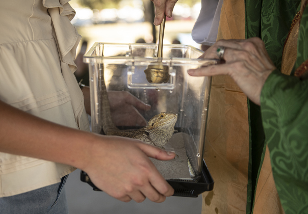 Zuzu, a Bearded Dragon owned by Ava Kostr, 16, and her family, is bestowed a blessing by The Reverend Mary Ann Huston during the Grace Episcopal Church Blessing of the Animals service held at San Gabriel Park on Sunday, October 6, 2024.   Photo by Andy Sharp.
