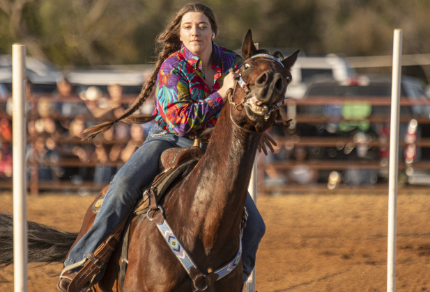 Caroline Heard competes in Senior Polebending at the 31st Annual Clayman Rodeo on Saturday, October 5, 2024.  Held at Windsong Farm, the rodeo was founded by Kelly and Jim Bob Clayman.    Photo by Andy Sharp.