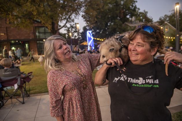 Georgetown resident Michelle Sheridan, left, carefully visits with Kim Fross from All Things Wild Rehabilitation,  and Charlie, a 2-year-old opossum cared for by All Things Wild  while the wildlife aid group visited  a First Friday Concert held at Founders Park on Friday, October 4, 2024.  Charlie, a group ambassador who has permanent residence at All Things Wild, is tame and people-friendly.    Photo by Andy Sharp.