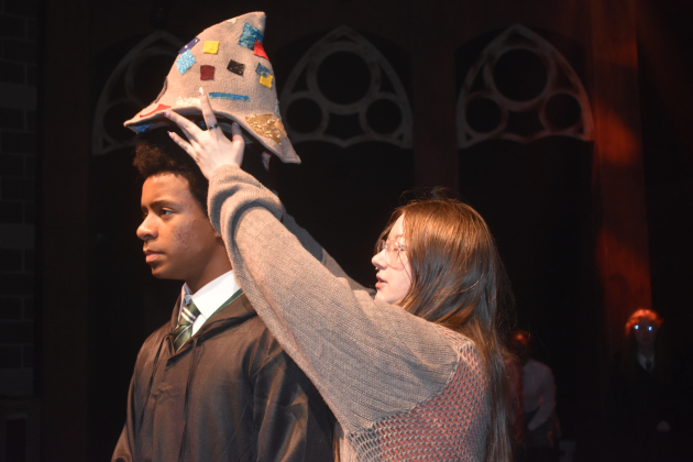 Albus Potter receives his Hogwarts’ house assignment — Slytherin!