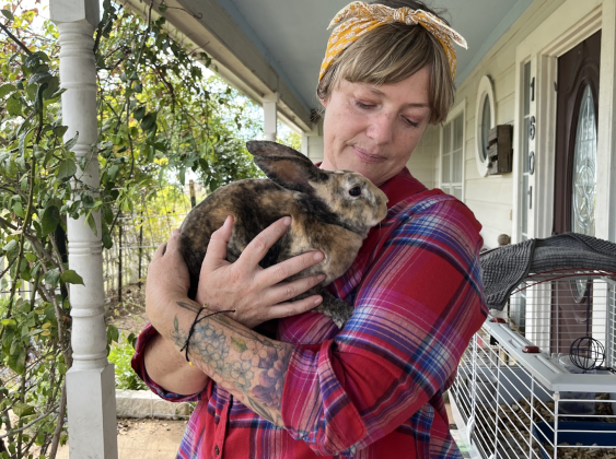 Jamie Tanner snuggles Houdini, one of her bunnies.