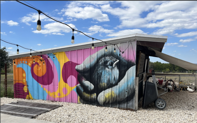 Barn at Simple Sparrow Care Farm, mural painted by Brady Black.