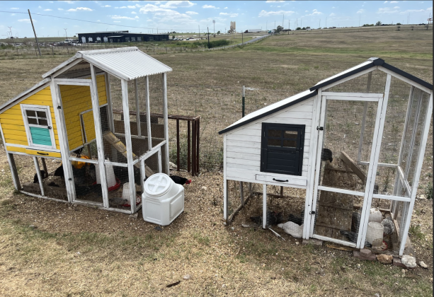 Chicken coop at Simple Sparrow Care Farm.
