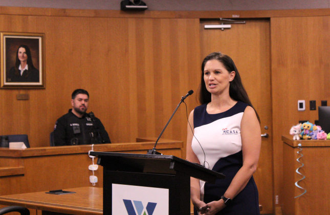 Court Appointed Special Advocates of Williamson County Chief Executive Officer Marissa Austin gives a speech at the Justice Center about Adoption Day.