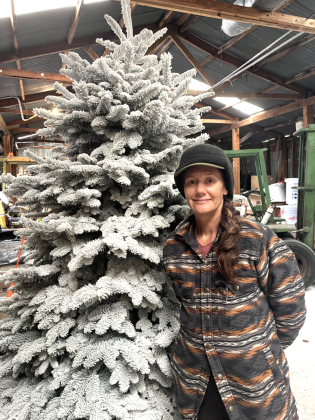 Dressed in winter gear, McIntire’s Garden Center owner Katie Ney shows off a tree that has been heavily flocked to emulate a heavy snowfall.