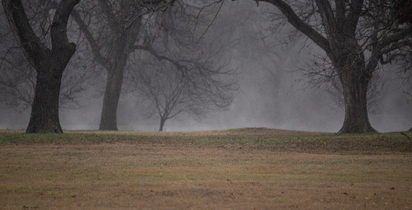 Mist rises from the pond at Berry Springs Park &amp; Preserve on a cold, wet and misty  Thursday, January 9, 2025.   Photo by Andy Sharp.