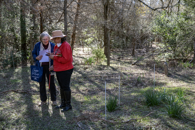 Peggy Bailey, left, visits with Teresa Shipley, right, as they spend time in an unnamed cemetery adjacent the Lawrence Chapel Cemetery on Saturday, January 18, 2025.  The area is near County Road 473,  east of Thrall.   For years, this unnamed cemetery was neglected, but buried there are descendants of Shipley, including her great-great-great grandfather, Jose Garcia, born in the mid-1800s, laid to rest here in the early 1900s.