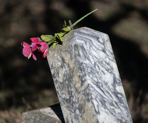 Artificial flowers rest on top of a dilapidated grave marker  in an unnamed cemetery adjacent the Lawrence Chapel Cemetery on Saturday, January 18, 2025.  The area is near County Road 473 east of Thrall.