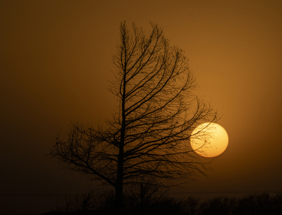 Sunset nears along County Road 425 in the Sandoval area on Wednesday, March 12, 2025.     Photo by Andy Sharp.