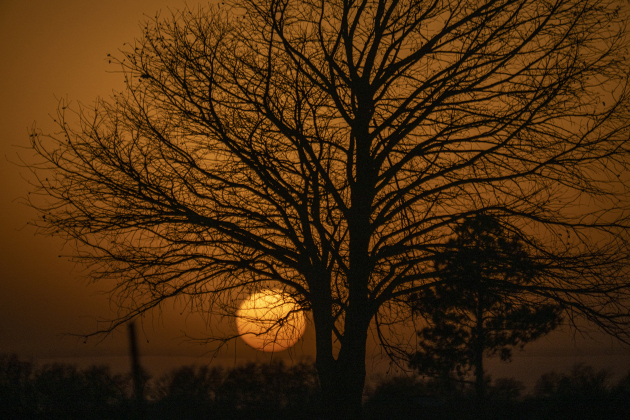 Sunset nears along County Road 425 in the Sandoval area on Wednesday, March 12, 2025.     Photo by Andy Sharp.