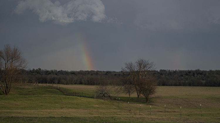 A rainbow forms over County Road 425 after rain moved through the area  on Wednesday, March 12, 2025.     Photo by Andy Sharp.