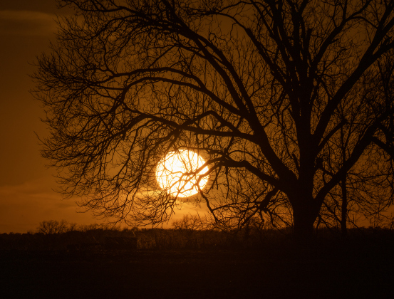 The sun begins to go down along County Road 382 east of Walburg on Wednesday, March 5, 2025.