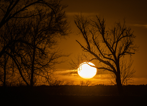 The sun begins to go down along County Road 382 east of Walburg on Wednesday, March 5, 2025.  