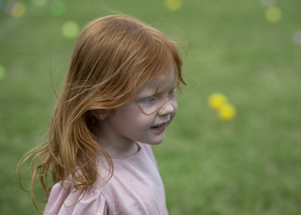 4-year-old Stevie Bughen hunted for eggs  during the annual Easter Egg Hunt conducted by Georgetown Church of the Nazarene  on Saturday, April 19.