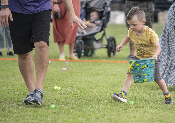 4-year-old Denver Kaczmarek is focused on gathering eggs during the annual Easter Egg Hunt conducted by Georgetown Church of the Nazarene  on Saturday, April 19, 2025.  5,000 Easter Eggs found new homes in just a few minutes' time.   Photo by Andy Sharp.