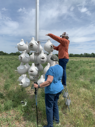 Kendall Britt, right, and Donna Kinney, front, check the birdhouses for Purple Martin nesting activity. The structure is located on the Katy Crossing Trail in San Gabriel Park. (Photos by Kaitlyn Wilkes)