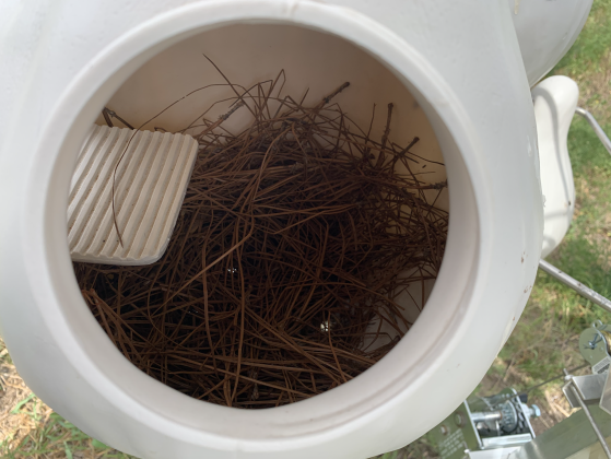 The inside of this particular birdhouse shows minimal nesting activity on top of the pine needles the Williamson Audubon Group put down.