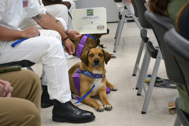 The Leashing Hope graduate, Celes, sits with their handler in the Texas Department of Criminal Justice's Bartlett Innovation Unit at the Leashing Hope graduation, April 25. Photo courtesy of Williamson County. 