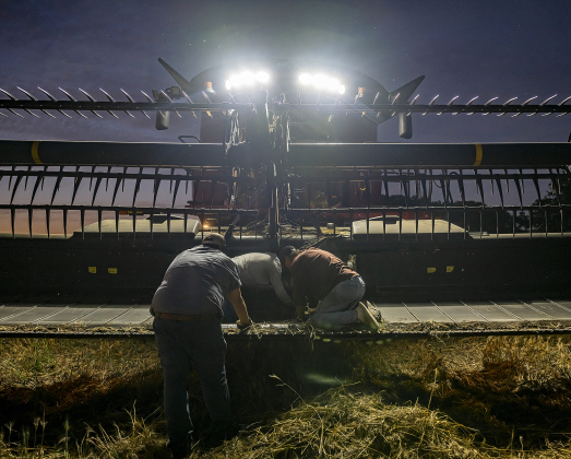 Kyle Kokel, left,  Aaron Martinka, center, and Larry  Svehlak, right, work to dislodge an obstruction from a harvesting combine  during wheat harvest  north of Jonah on Tuesday, May 20, 2025.  Martinka and his helpers are harvesting 700 acres of wheat this season.   Photo by Andy Sharp.