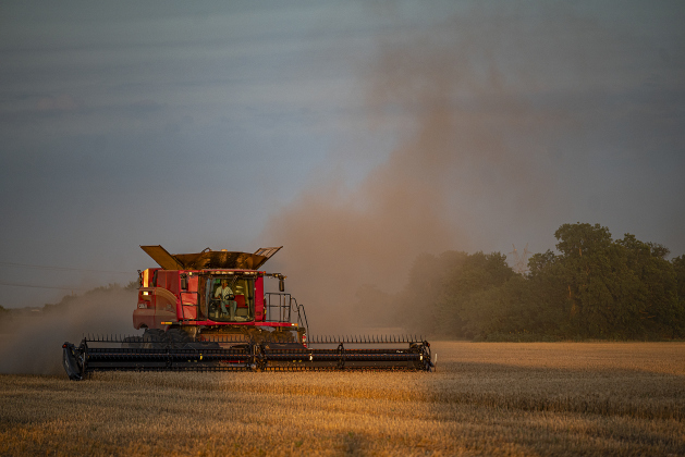 Aaron Martinka guides his equipment through a field  north of Jonah  during wheat harvest on Tuesday, May 20, 2025.  Martinka and his helpers are harvesting 700 acres of wheat this season.   Photo by Andy Sharp.
