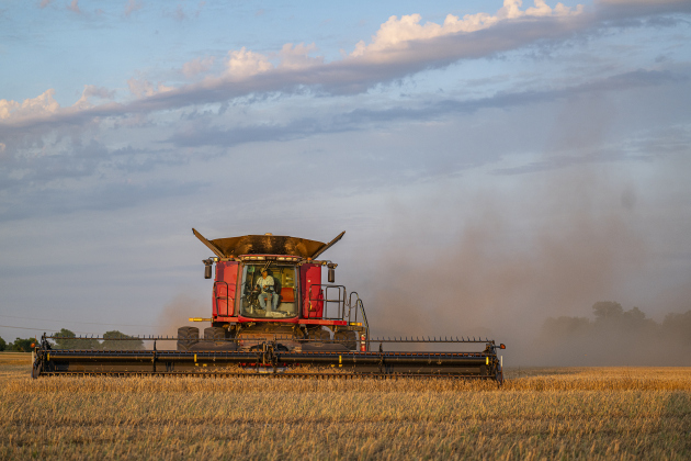 Aaron Martinka guides his equipment through a field  north of Jonah during wheat harvest on Tuesday, May 20, 2025.  Martinka and his helpers are harvesting 700 acres of wheat this season.   Photo by Andy Sharp.
