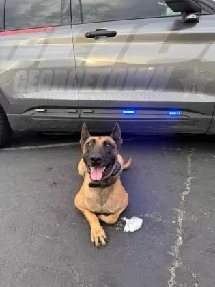 GPD K9 Officer Herakles