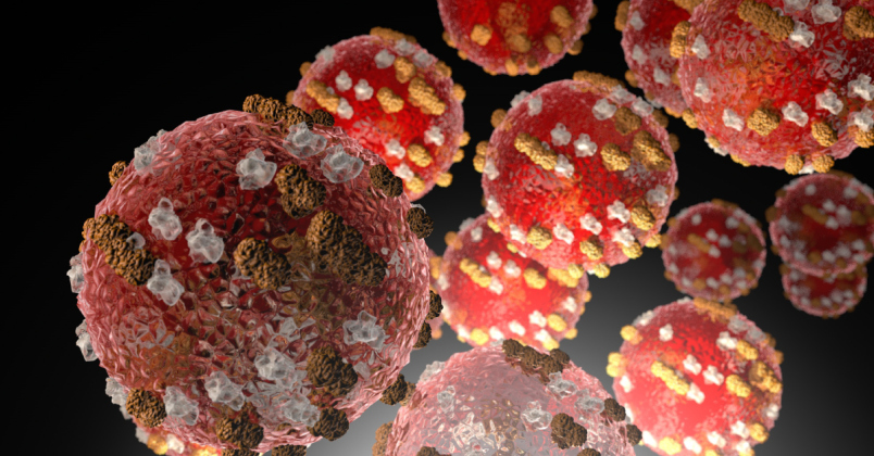 Measles infect healthy cells. About one in 1,000 children with measles will develop swelling of the brain. Nearly one to three of every 1,000 children infected with measles will die from respiratory and neurologic complications, according to the CDC. Illustration courtesy of the CDC. 