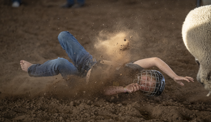 7-year-old Rylee Nalley of Rochelle, Texas takes a tumble during Mutton Bustin’ at the Bill Pickett Youth Rodeo, held at the Williamson County Expo Center  on Saturday, June 21, 2025.  Now in its second year, the rodeo showcases athletes 18 or younger. The event is coordinated by the Bill Pickett Youth Rodeo Association.     Photo by Andy Sharp.