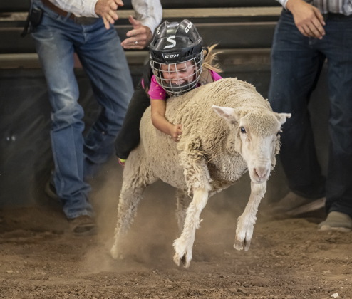 Sarah Lawrence holds on during Mutton Bustin’ at  the Bill Pickett Youth Rodeo, held at the Williamson County Expo Center  on Saturday, June 21, 2025.  Now in its second year, the rodeo showcases athletes 18 or younger. The event is coordinated by the Bill Pickett Youth Rodeo Association.     Photo by Andy Sharp.
