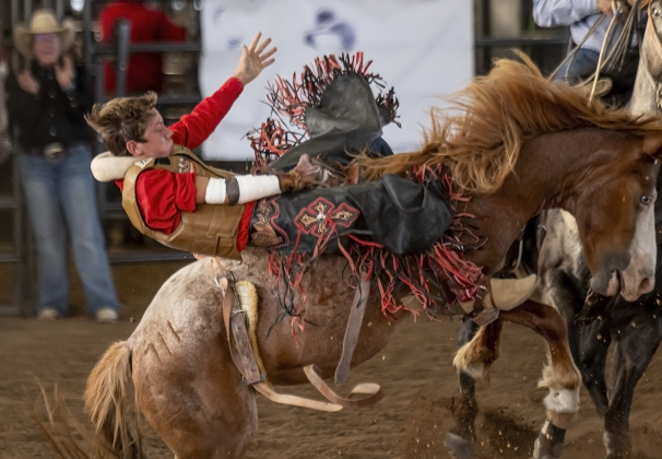 Colt Keller, 13, of Bellville, Texas competes in bareback riding at the Bill Pickett Youth Rodeo, held at the Williamson County Expo Center  on Saturday, June 21, 2025.  Now in its second year, the rodeo showcases athletes 18 or younger. The event is coordinated by the Bill Pickett Youth Rodeo Association.     Photo by Andy Sharp.