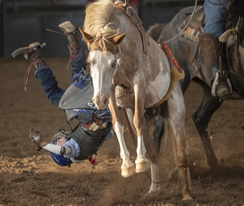 Garrett Nalley,11, of Rochelle, Texas competes in bareback riding at  the Bill Pickett Youth Rodeo, held at the Williamson County Expo Center  on Saturday, June 21, 2025.  Now in its second year, the rodeo showcases athletes 18 or younger. The event is coordinated by the Bill Pickett Youth Rodeo Association.     Photo by Andy Sharp.
