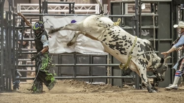 16-year-old Jacki Gayle, left, of Odessa, Texas moves quickly away from a bull after competing in bull riding at the Bill Pickett Youth Rodeo, held at the Williamson County Expo Center  on Saturday, June 21, 2025.  Now in its second year, the rodeo showcases athletes 18 or younger. The event is coordinated by the Bill Pickett Youth Rodeo Association.     Photo by Andy Sharp.