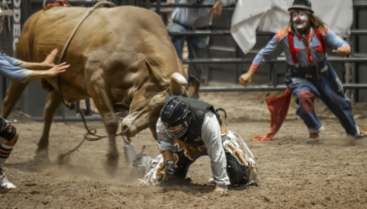 Bull rider Travis Lopez, Jr., 16, gets assistance from bullfighters after being thrown by a bull during the Bill Pickett Youth Rodeo, held at the Williamson County Expo Center  on Saturday, June 21, 2025.  Now in its second year, the rodeo showcases athletes 18 or younger. The event is coordinated by the Bill Pickett Youth Rodeo Association.     Photo by Andy Sharp.