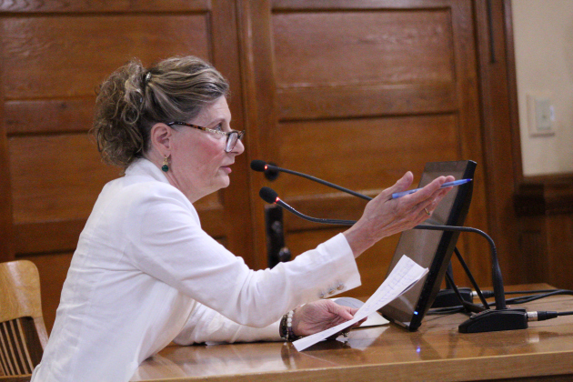 Laura Pressley, founder of True Texas Elections, explains why she opposes the new system. Photo by Nalani Nuylan.
