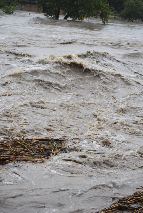 The San Gabriel River roars through San Gabriel Park. Photos by Katherine Anthony