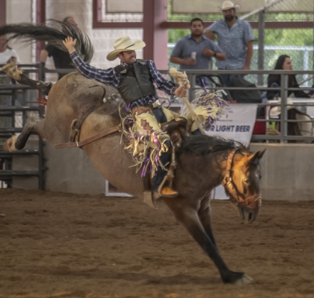 Cole Futrell of Stephenville, Texas takes part in Saddle Bronc Riding  at the  75th Annual Taylor Rodeo on Thursday, July 17,2025.  Coordinated by the Taylor Rodeo Association, the three-night rodeo is held at the Williamson County Expo Center.   Photo by Andy Sharp.