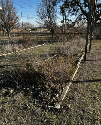 The Sensory Trail before it was weeded and redone. (Photo Courtesy Phyllis Popplewell)