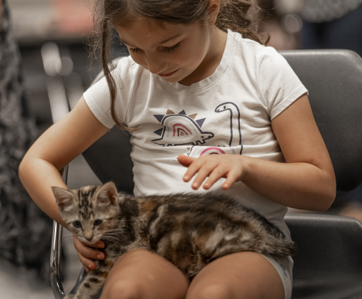 5-year-old Wren Bauer spends time with the kitten her family adopted during Kittens at the Library.