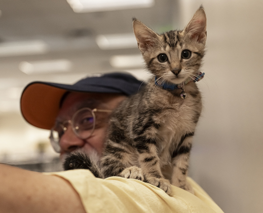 Pete Escalante spends time with a kitten he adopted named Chaos during the kitten adoption event coordinated by the Williamson County Regional Animal Shelter and the Georgetown Public Library on Wednesday, August 6. All 19 kittens brought to the library were adopted. (Photos by Andy Sharp)
