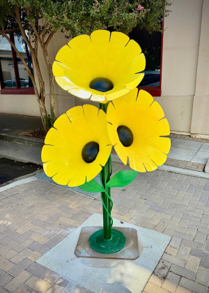“Fleur Sauvage” is a six-feet tall steel representational sculpture of Black- eyed Susan flowers. Created by Anthony St James, it is on display outside Blue Corn Harvest Bar &amp; Grill on West Seventh Street near downtown Georgetown. It was a winner in the annual 2024-2025 Sculpture art competition and on loan to the city. Winners of the 2025-2026 competition will be installed in October.