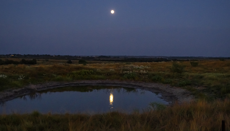 A Waxing Gibbous moon, nearly full at 99.2% visibility, shines over a pond along County Road 419 on Saturday, September 6, 2025.